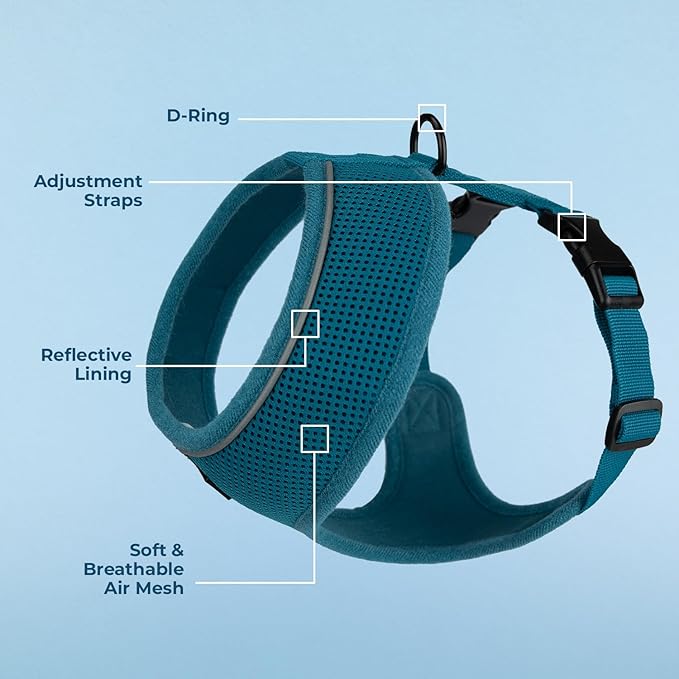 Best Pet Supplies Voyager Aerolite No Pull Mesh Dog Harness, Reflective Stitching, Breathable Harness, Adjustable for Walking, Training, Running, Heavy Duty and Durable, Turquoise, L