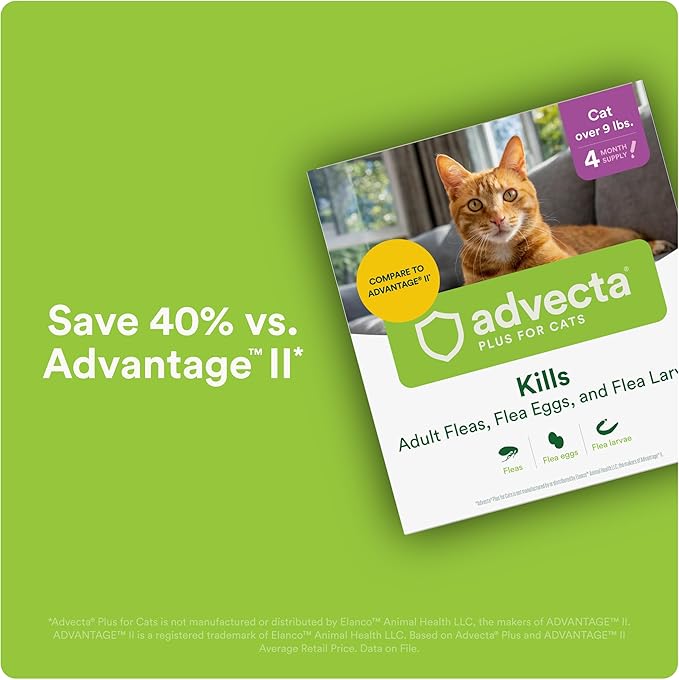 Advecta Plus Topical Large Cat Flea Treatment for Cats and Kittens, Flea Prevention and Control, Fast-Acting Waterproof Drops, 2-Month Supply