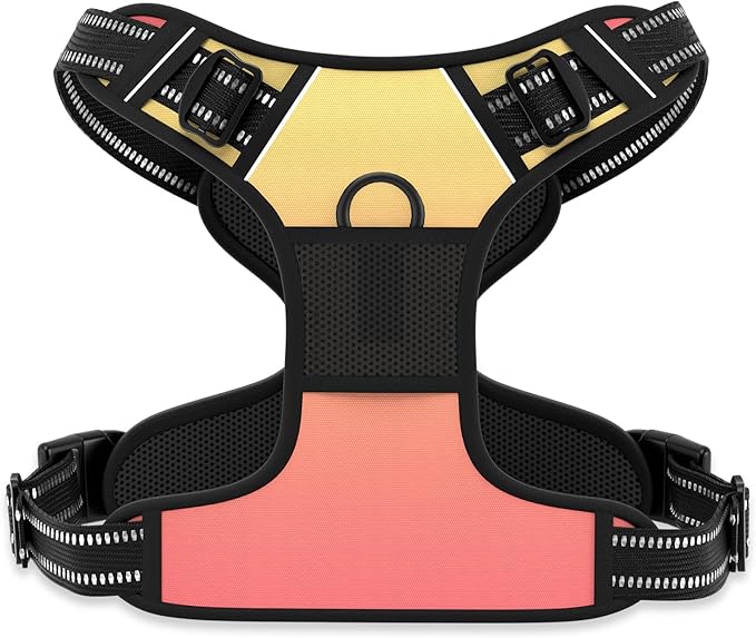 Rnivvi No Pull Dog Harness, Cute Reflective Medium Sized Puppy Harness, Adjustable Soft Padded Vest for Medium Dogs, Heavy Duty Pet Vest with Easy Control Handle for Walking, Abstract Gradient