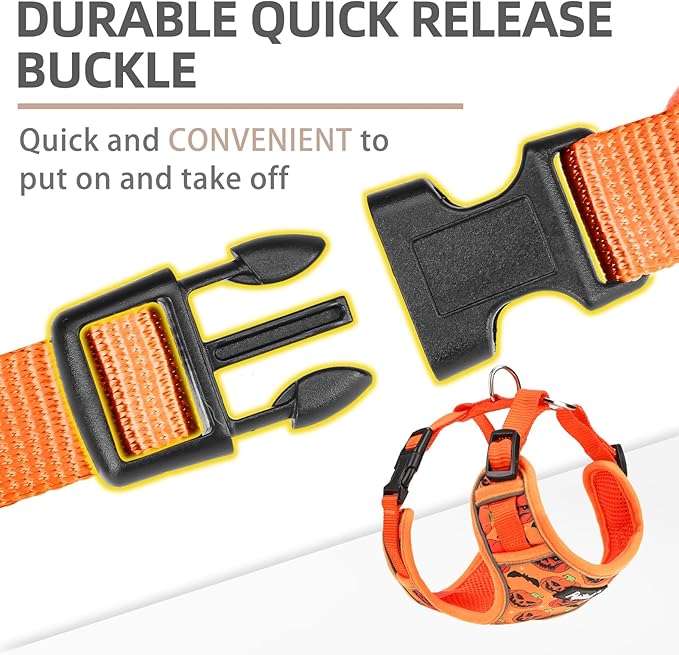 PUPTECK Small Dog Harness and Leash Set, No Pull Adjustable Puppy Cat Harness, Reflective Soft Mesh Pet Vest Small Sized