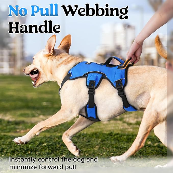 rabbitgoo Escape Proof Dog Harness, Soft Padded Full Body Pet Harness, Reflective Adjustable No Pull Vest with Lift Handle and Leash Clip for Large Dogs Walking Hiking Training, XL, Blue