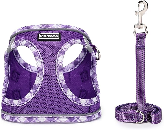 Mercano Soft Mesh Dog Harness and Leash Set, No-Chock Step-in Reflective Breathable Lightweight Easy Walk Vest Harnesses with Safety Buckle for Small Dogs, Cats (M, Purple)