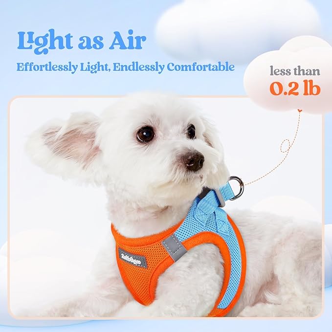 rabbitgoo Dog Harness Small Sized and Leash Set, Step in Soft Light Puppy Vest, Breathable Mesh Pet Harness, Reflective for Safe Easy Walking, Blue & Orange M