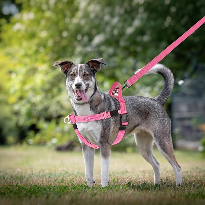 Annchwool Adjustable Dog Harness-Lightweight No Pull Dog Harness with Handle for Small & Medium and Large Dogs-Front Clip Easy for Walking Vest Harness(Pink,XL)
