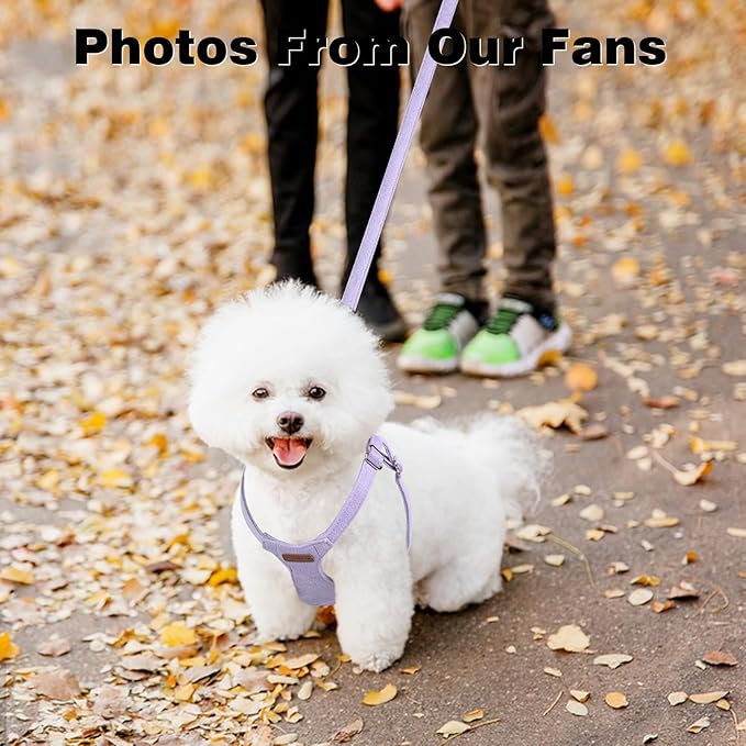 Dog Harness and Leash Set, S No Pull Adjustable Puppy Harness with Multifunction Purple Dog Leash and Collar, Soft No Choke Escape Proof Pet Harness Vest for Small Dogs and Cats (Purple, S)