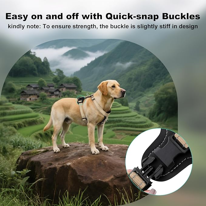 Plutus Pet Adjustable No Pull Dog Harness with Leather Accents, Heavy Duty Reflective Nylon Vest for Training, Hiking, Easy Walk Harness for Small, Medium, Large Dogs (Beige, XL)