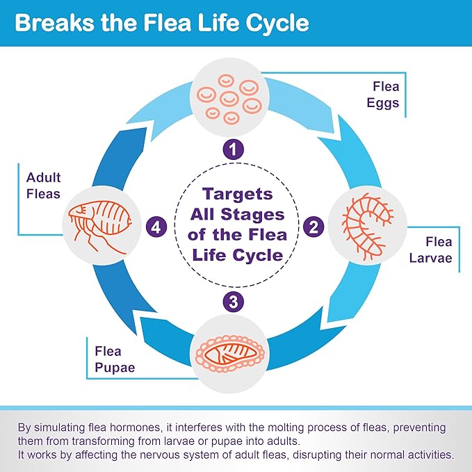 Flea and Tick Prevention for Cats & Kittens: Waterproof Topical Cat Flea and Tick Treatment – Fast-Acting & Long-Lasting At Home Flea Control for Cats Over 1.5 lbs and 8 Weeks or Older – 6 Dose Supply