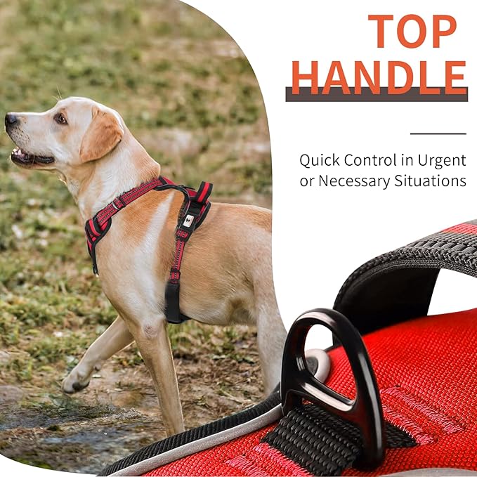 Dog Harness, No-Pull Pet Breathable Harness, Adjustable Soft Padded Dog Vest with 2 Leash Clips, Reflective No-Choke Pet, Easy Control Handle for Large Dogs, Red, S