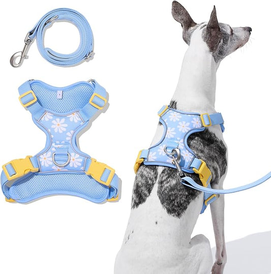 VETRESKA Dog Harness and Leash Set, Puppy Harness Adjustable Reflective, Easy Control No Choke Dog Harness for Small, Medium Dogs, Cats, Kitten, Dog Vest Harness with Anti-Tangle Leash, Daisy XS