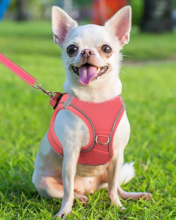 Joytale Small Dog Harness, Breathable Mesh Step-in Vest, Reflective Soft Padded Harnesses for Puppies and Extra Small Dogs, Pink, XS