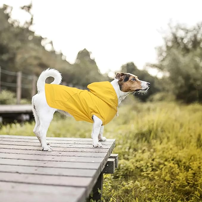Dog Raincoat rain Jacket Dogs Waterproof fit for Small Medium Breeds Zipper Closure Pocket Storage in Cold Day - Yellow - XL