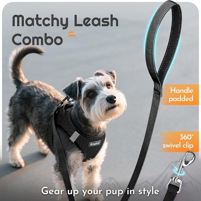 Eagloo Small Dog Harness and Leash Set, Step in Puppy Vest with Breathable Soft Mesh, Walking Reflective Pet Harness for Small Dogs, Black, XS