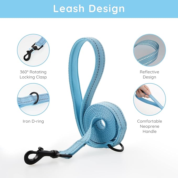 BELLA & PAL Step in Vest Harness for Small and Medium Dogs, No Pull Small Dog Harness with Leash Set, Comfortable Air Mesh Dog Vest Harness with Reflective Strip (Sky Blue, L)