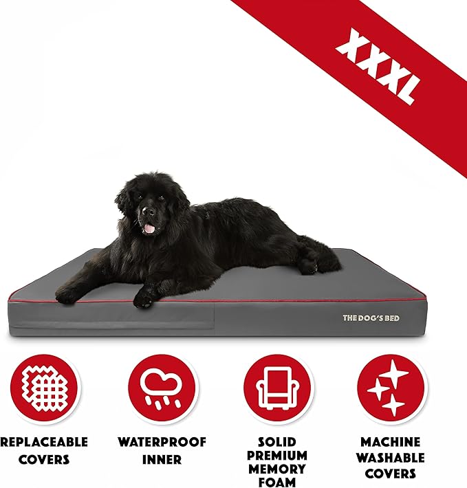 The Dog’s Bed Orthopedic Memory Foam Dog Bed, XXXL Grey/Red 64x44, Pain Relief for Arthritis, Hip & Elbow Dysplasia, Post Surgery, Lameness, Supportive, Calming, Waterproof Washable Cover