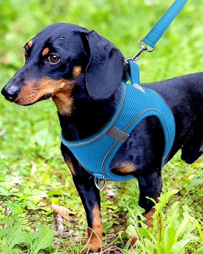 Joytale Small Dog Harness, Breathable Mesh Step-in Vest, Reflective Soft Padded Harnesses for Small and Medium Dogs, Sky Blue, M