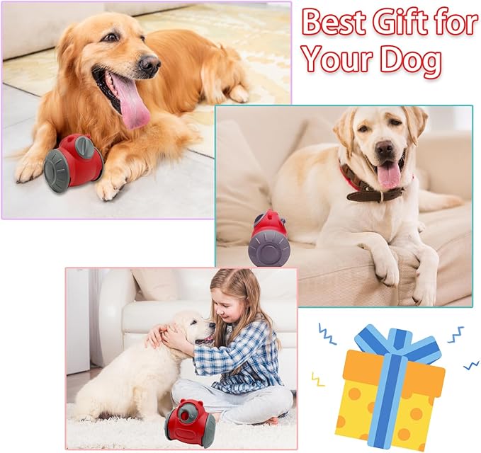 Dog Treat Toy - Interactive Dog Toys for Boredom, Treat Dispensing Enrichment Mental Stimulation (D)