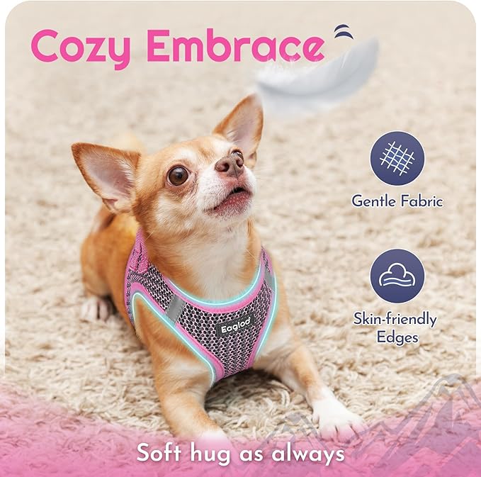 Eagloo Small Dog Harness and Leash Set, Step in Puppy Vest with Breathable Soft Mesh, Walking Reflective Pet Harness for Extra Small Dogs, Pink, XXS