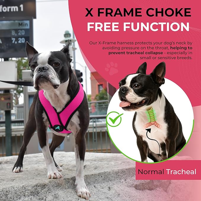 Gooby Comfort X Head In Harness - Flamingo Pink, Medium - No Pull Small Dog Harness Patented Choke-Free X Frame - On the Go Dog Harness for Medium Dogs No Pull or Small Dogs for Indoor and Outdoor Use