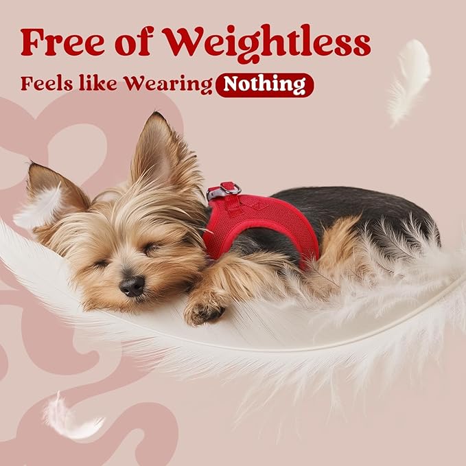 rabbitgoo Small Dog Harness, Step-in Soft Mesh Puppy Vest with Safety Buckle, Breathable Reflective Pet Harness for Small Sized Dogs, Red XS