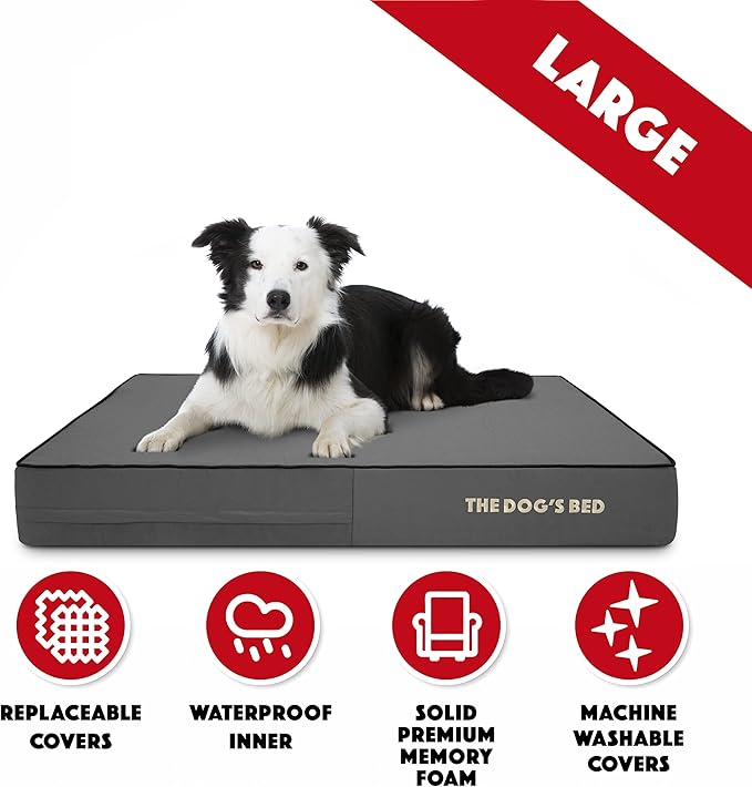 The Dog’s Bed Orthopedic Memory Foam Dog Bed, Large Grey & Black 40x25, Waterproof, Supportive Dog Bed with Replaceable Covers, Veterinary Approved