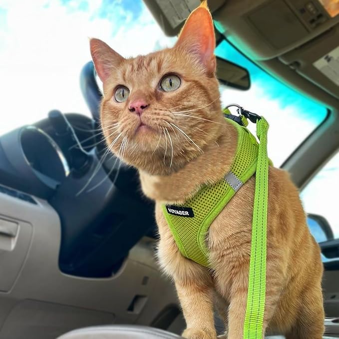 Voyager Step-in Pet Harness - All Weather Mesh, Adjustable Step in Harness for Cats and Dogs by Best Pet Supplies - 307S Lime Green, XS