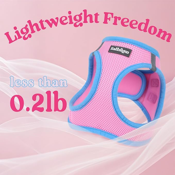 rabbitgoo Dog Harness Small Sized and Leash Set, Step-in Breathable Pet Harness, Soft Walking Reflective Puppy Vest for Small Dogs, Pink & Light Blue, S
