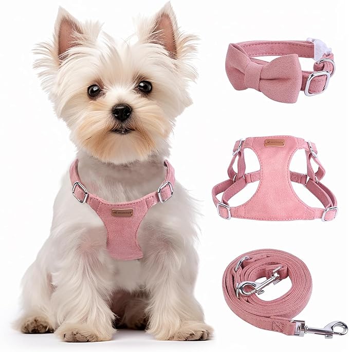 Dog Harness and Leash Set, XXS No Pull Adjustable Puppy Harness with Multifunction Pink Dog Leash and Dog Collar, Soft No Choke Escape Proof Pet Harness Vest for Small Dogs and Cats (Red, XS)