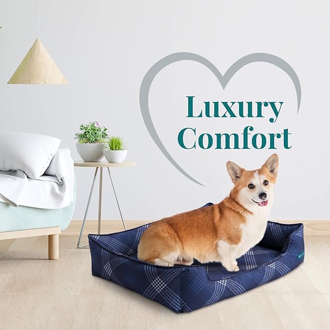 Orthopedic Bolster Dog Bed β CertiPUR-US Foam, Recycled Polyester Canvas, Washable Cover, Anti-Slip Bottom, Large, Navy Plaid β Stylish Designer Dog Sofa