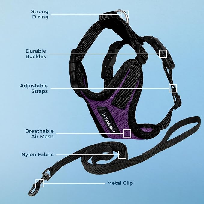 Voyager Step-in Lock Adjustable Cat Harness w. Cat Leash Combo Set with Neoprene Handle 5ft - Supports Small, Medium and Large Breed Cats by Best Pet Supplies - Purple/Black Trim, XXS