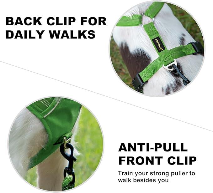Plutus Pet No Pull Dog Harness, Reflective Adjustable Dog Vest Harness with Handle, Escape Proof, Soft Padded for Small Medium Large Dogs (Green, XL)