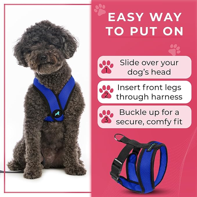 Gooby Comfort X Head In Harness - Blue, Medium - No Pull Small Dog Harness, Patented Choke-Free X Frame - Perfect on the Go Dog Harness for Medium Dogs No Pull or Small Dogs for Indoor and Outdoor Use