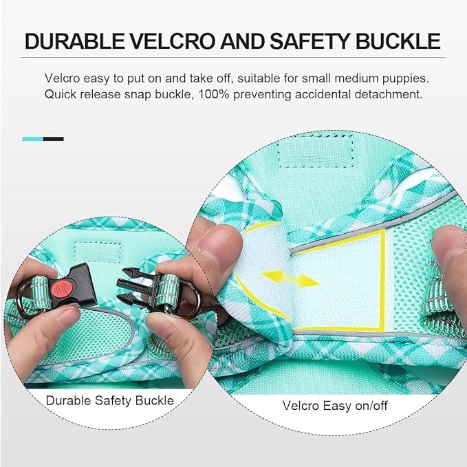 Mercano Soft Mesh Dog Harness and Leash Set, No-Chock Step-in Reflective Breathable Lightweight Easy Walk Vest Harnesses with Safety Buckle for Small Dogs, Cats (Light Green, XXS)