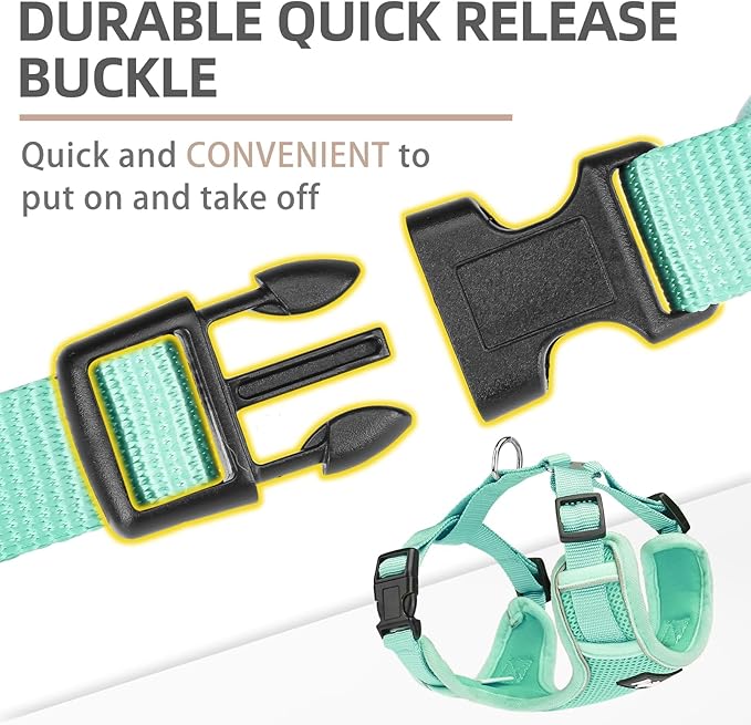 PUPTECK Small Dog Harness and Leash Set, No Pull Adjustable Puppy Cat Harness, Reflective Soft Mesh Pet Vest Medium Sized