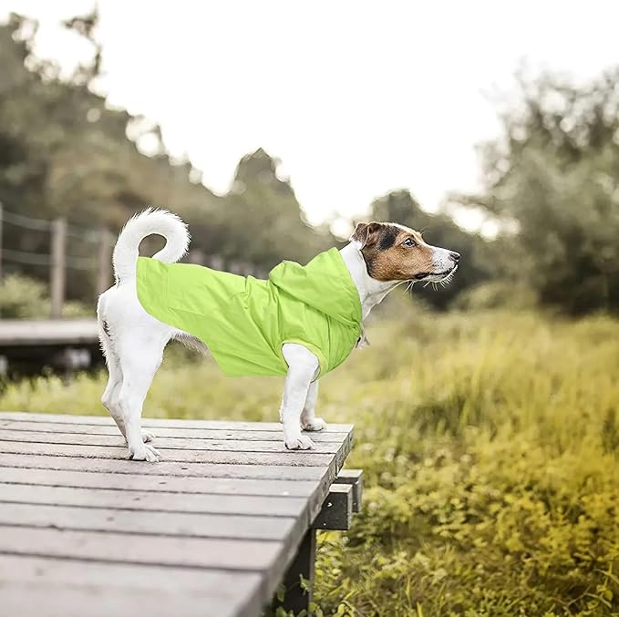Dog Raincoat rain Jacket Dogs Waterproof fit for Small Medium Breeds Zipper Closure Pocket Storage in Cold Day - Light Green - M