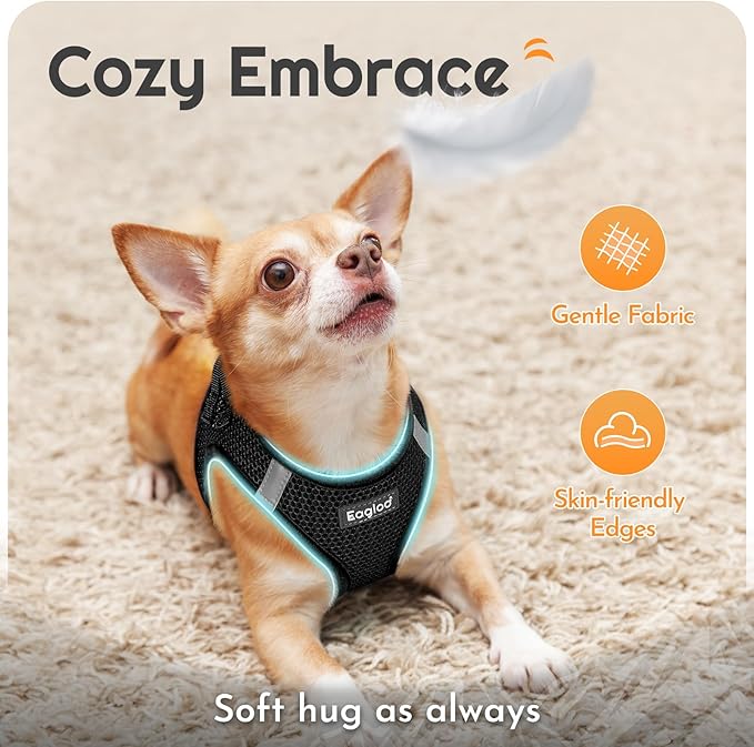 Eagloo Small Dog Harness and Leash Set, Step in Puppy Vest with Breathable Soft Mesh, Walking Reflective Pet Harness for Medium Small Dogs, Black, L