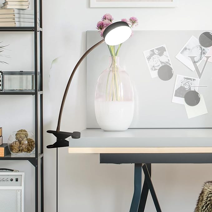 Clip-On LED Desk Lamp with Switch, 19.25” Flexible Gooseneck, 4.5W 260LM 4000K Cool White Clamp Desktop Light, 65” Cord Small Desk Light for Home, Office, Study, ETL Listed