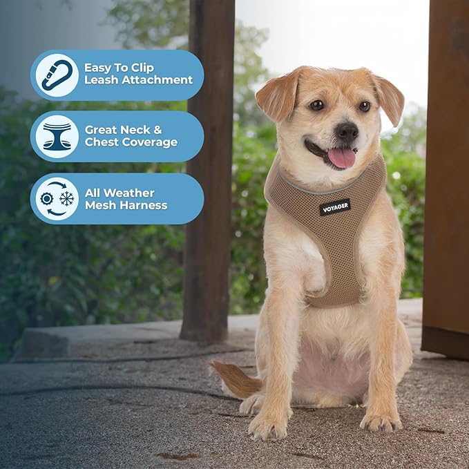Best Pet Supplies Voyager Aerolite No Pull Mesh Dog Harness, Reflective Stitching, Breathable Harness, Adjustable for Walking, Training, Running, Heavy Duty and Durable, Beige, S
