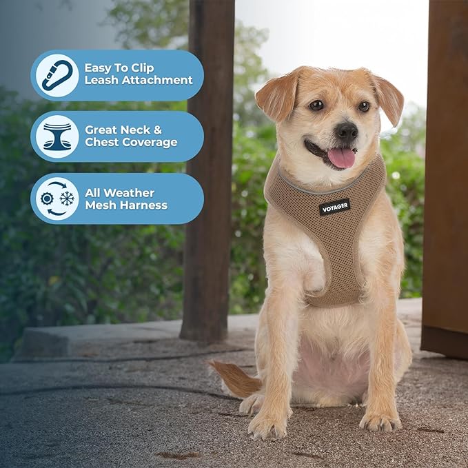 Best Pet Supplies Voyager Aerolite No Pull Mesh Dog Harness, Reflective Stitching, Breathable Harness, Adjustable for Walking, Training, Running, Heavy Duty and Durable, Beige, XL
