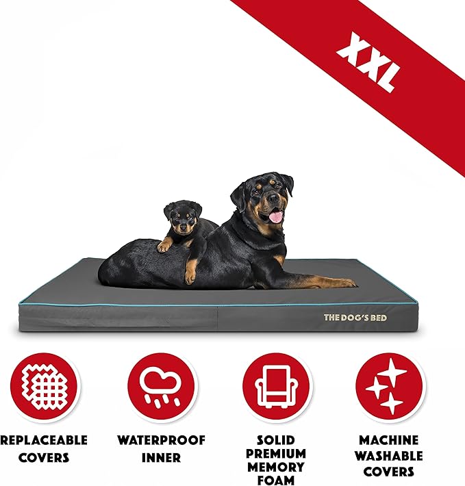 The Dog’s Bed Orthopedic Memory Foam Dog Bed, XXL Grey/Blue 54x36x4, Pain Relief for Arthritis, Hip & Elbow Dysplasia, Post Surgery, Lameness, Supportive, Calming, Waterproof Washable Cover