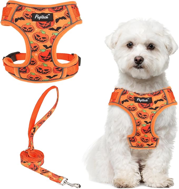 PUPTECK Small Dog Harness and Leash Set, No Pull Adjustable Puppy Cat Harness, Reflective Soft Mesh Pet Vest Small Sized
