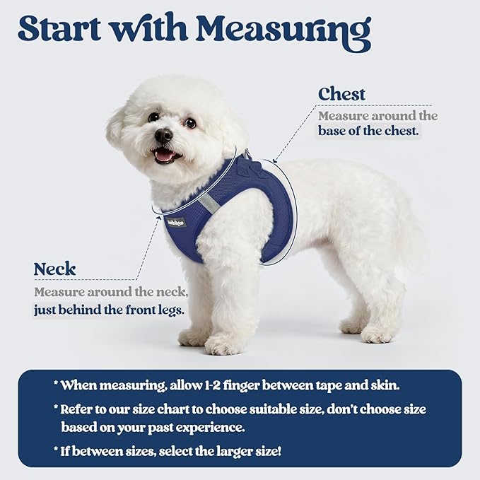 rabbitgoo Dog Harness Small Sized and Leash Set, Step in Soft Light Puppy Vest, Breathable Mesh Pet Harness, Reflective for Outdoor Safe Walking, Navy Blue XXXS