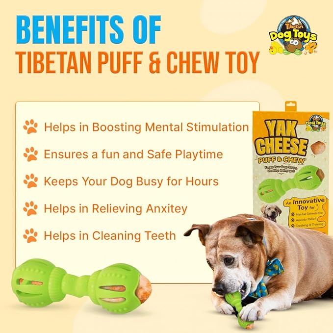Tibetan Dog Chew Yak Cheese Puff & Chew - Fun Interactive Treat Dispenser Toy for Dogs - Training, Teething, Calming, Mental Stimulation - Bone Dumbbell - Fluorescent Green (1 Toy, 5 Nuggets)