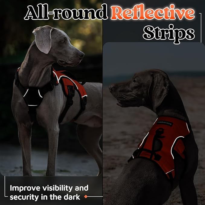 rabbitgoo Escape Proof Dog Harness, Soft Padded Full Body Pet Harness, Reflective Adjustable No Pull Vest with Lift Handle and Leash Clip for Large Dogs Walking Hiking Training, M, Orange