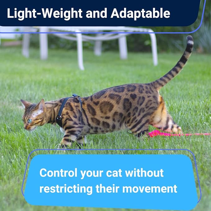 Houdini™ Escape Proof Cat Harness and Leash Set by OutdoorBengal for Walking Cats and Kittens (Vegan Leather, Large Cat)