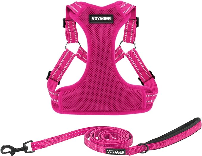 Best Pet Supplies Voyager Adjustable Dog Harness Leash Set with Reflective Stripes for Walking Heavy-Duty Full Body No Pull Vest with Leash D-Ring, Breathable All-Weather - Fuchsia, XL
