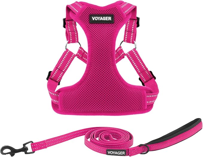 Best Pet Supplies Voyager Adjustable Dog Harness Leash Set with Reflective Stripes for Walking Heavy-Duty Full Body No Pull Vest with Leash D-Ring, Breathable All-Weather - Fuchsia, S