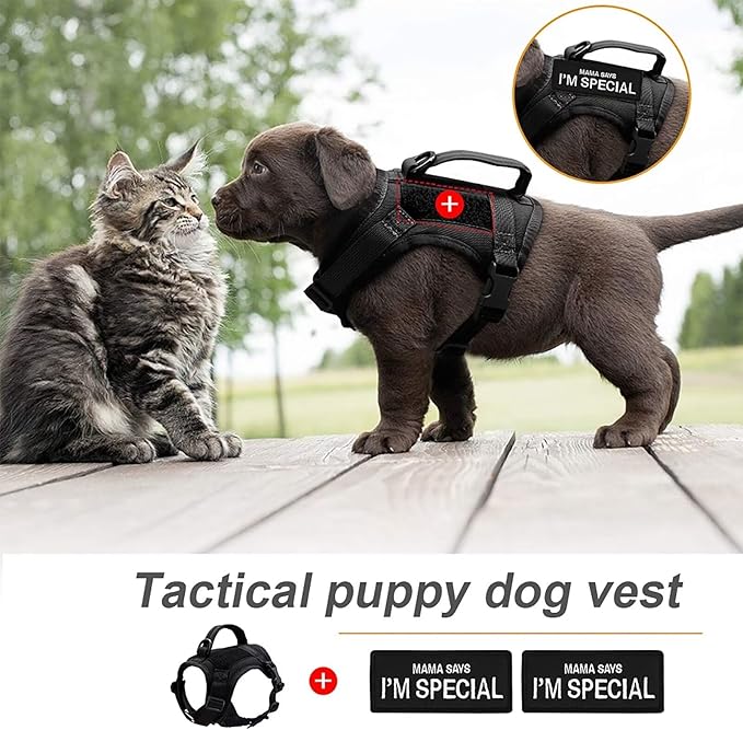Forestpaw Cat Harness Escape Proof for Walking,Adjustable Cat Vest Harness with Soft Mesh Padded,Tactical Cat Harness with Control Handle,Molle Patches,Black