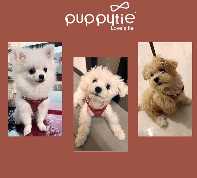 Puppytie No Pull xs Dog Harness with Multifunction Dog Leash,Soft Adjustable No Choke Escape Proof Pet Harness Vest,Brown Caramel,XS