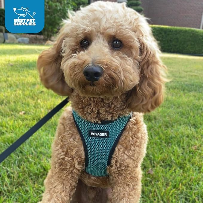 Best Pet Supplies Voyager Step-in Air Harness - All Weather Mesh, Reflective, No Pull Harness for Dogs, Cats - Secure with Hook & Loop Fastener, Buckle, Double D-Rings - Tone, L