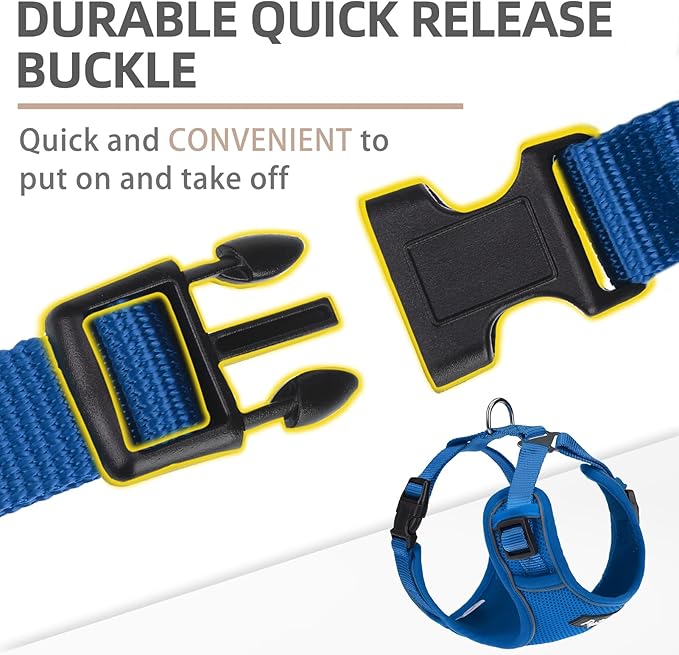 PUPTECK Small Dog Harness and Leash Set, No Pull Adjustable Puppy Cat Harness, Reflective Soft Mesh Pet Vest Small Sized